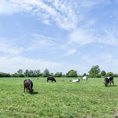 Green Acre Farm Ely Esterno foto