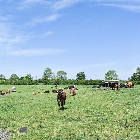 Green Acre Farm Ely Esterno foto